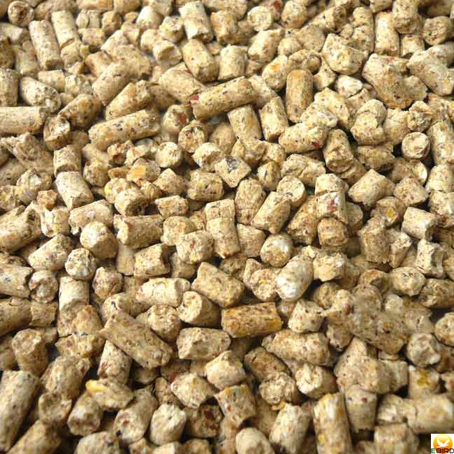 コールダック カモ類用専門フード4Kg（その他水鳥えさ） アヒル : e