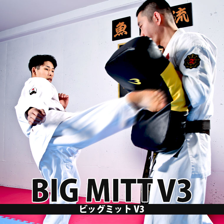 BODYMAKER（ボディメーカー） ビッグミット V3 BODYMAKER ミット 空手