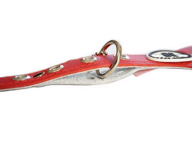 バディーベルト 3.5号 プレミアム BUDDY BELTS バディベルト ハーネス