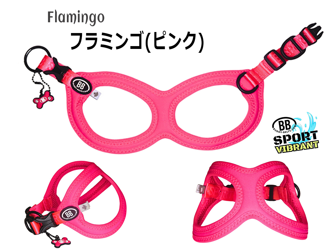 バディーベルト 5号 BB SPORT (BBスポーツ) Vibrant BUDDY BELTS