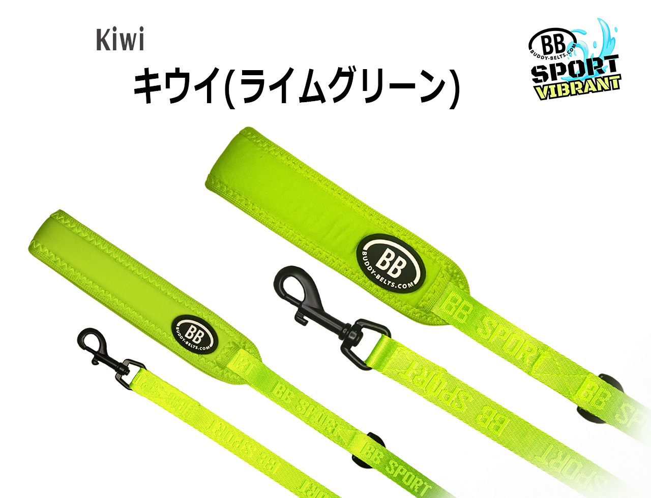 バディーベルト ナイロンリード Lサイズ BB SPORT (BBスポーツ
