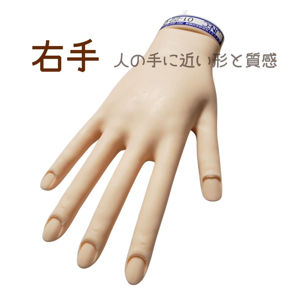 超美品ネイル検定用ハンドおまけ付き 楽天市場】ハンド 検定 ネイルの通販