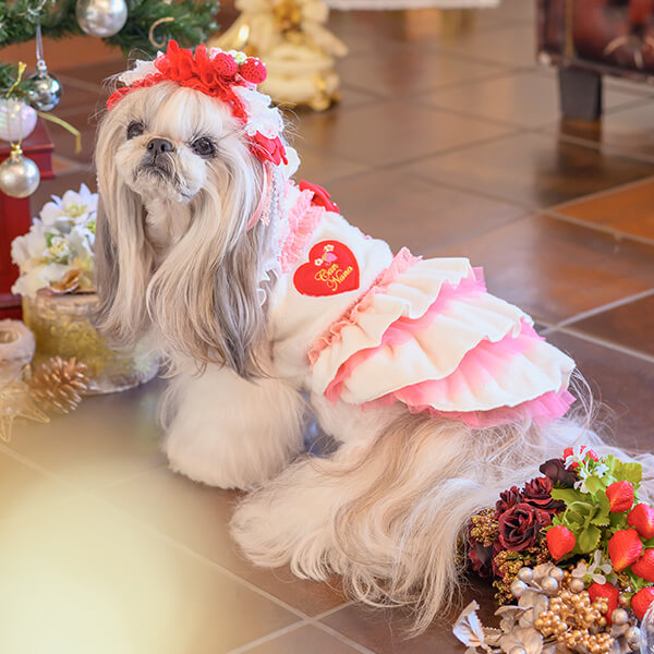 CanNana 犬 犬服 冬服 防寒 暖かい ドックウェア ワンピース かわいい