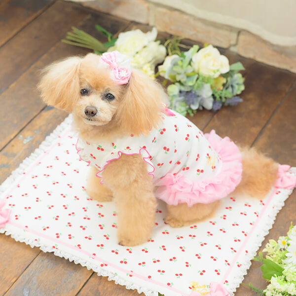 CanNana 犬 犬服 服 春 ドックウェア さくらんぼ チェリー かわいい