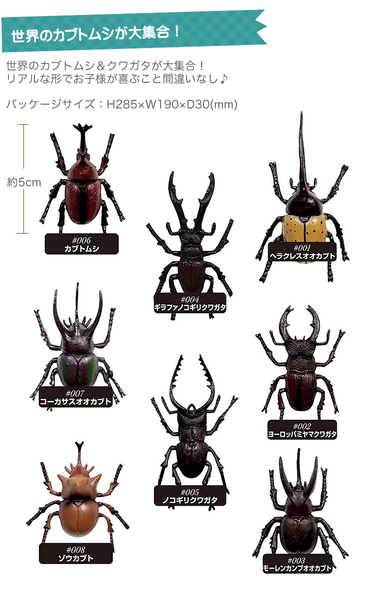 昆虫伝説 昆虫セット カブトムシ クワガタ 8種 子供用 幼児用 男の子