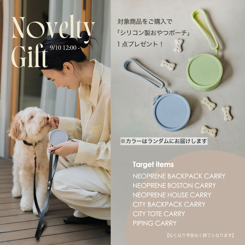 CITYDOG（シティドッグ） 犬 リュック ペットキャリー 人 気No1 犬