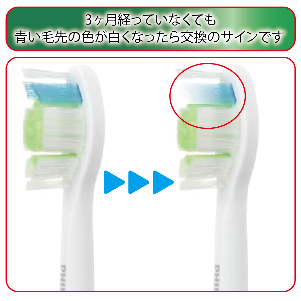 フィリップス ソニッケアー Philips Sonicare 純正 ホワイトプラス
