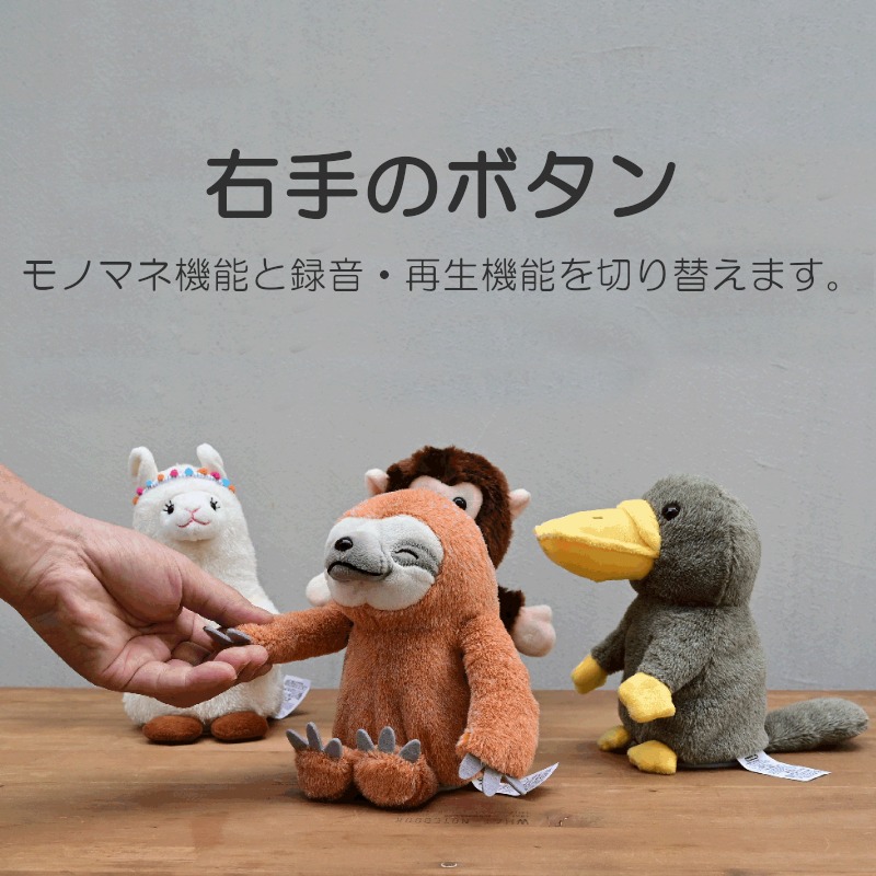 ウズラ M&M'sキャラクターおもちゃセット M&M`s(エム&エムズ) | Toy's