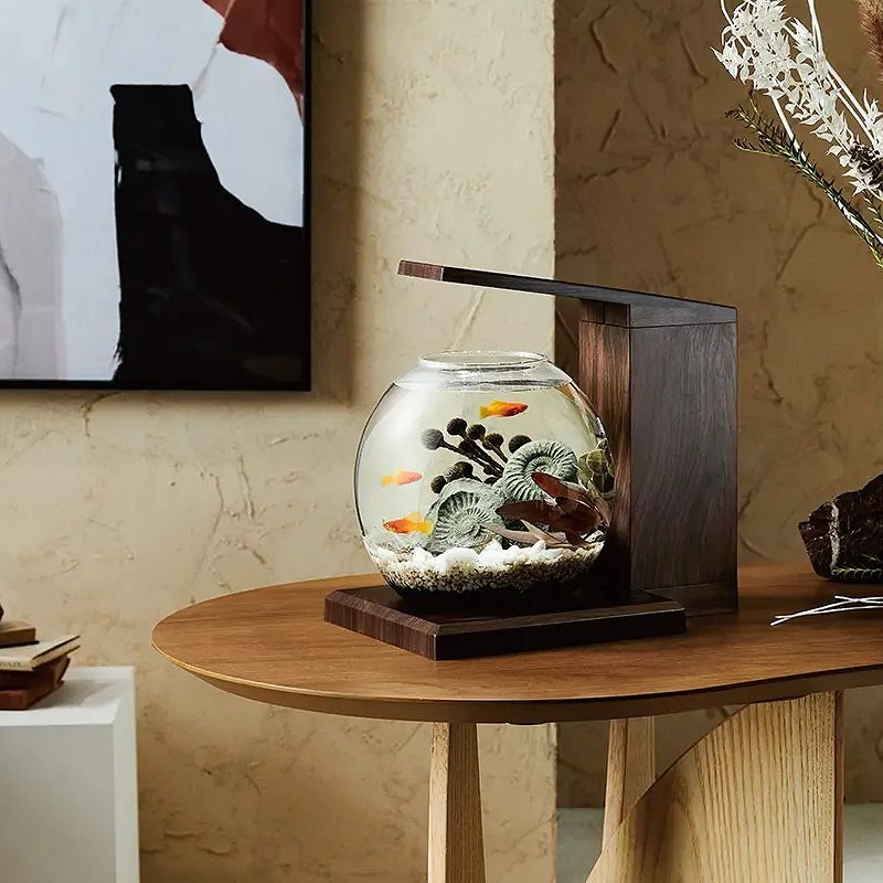 GEX（ジェックス） 観賞魚飼育水槽セット 水槽セット グラスアクア