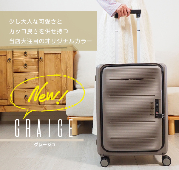 折りたたみスーツケース mサイズ キャリーケース TSAロック 小型