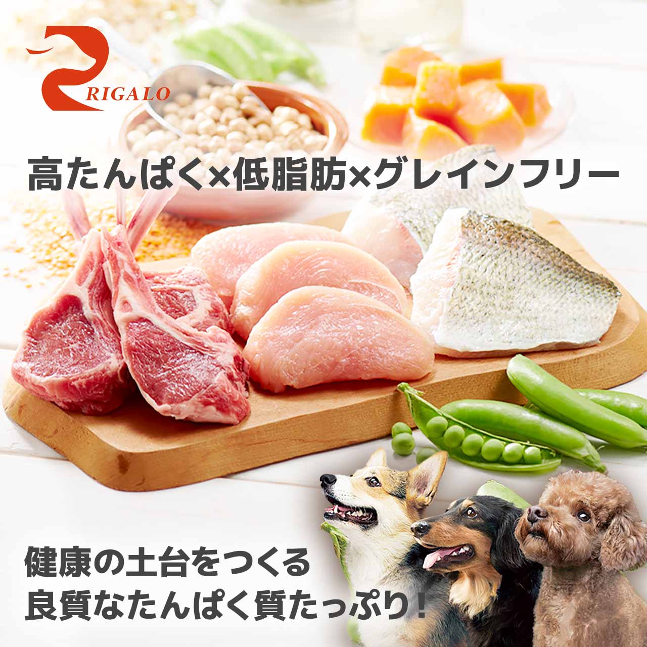 リガロ（RIGALO） ドッグフード フィッシュ シニア 900g 7歳以上用