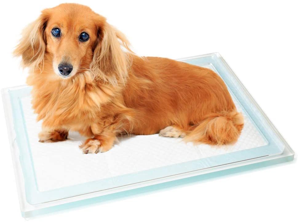 犬用 トイレ ペットトイレ トレー 洗える アクリル Kuai : かぐらし