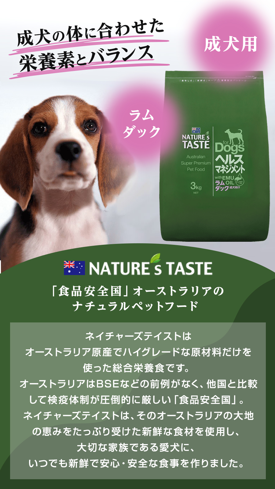 パピー ダック with ポテト｜B Wild製品一覧（ドッグフード