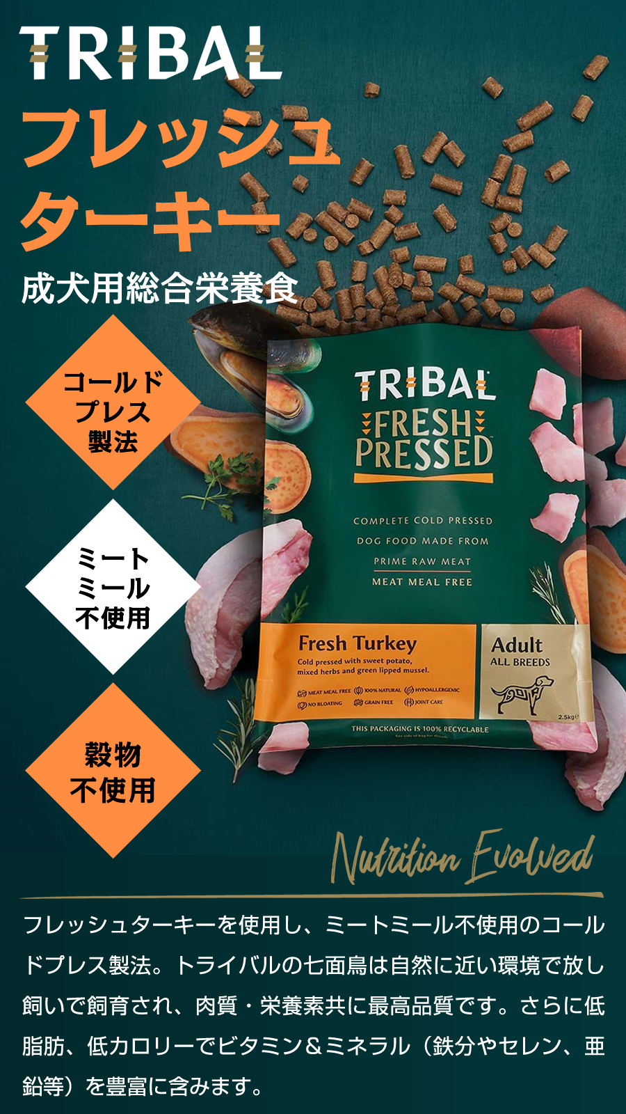 メーカー在庫限りで販売終了](年始までプレゼント種類増量中