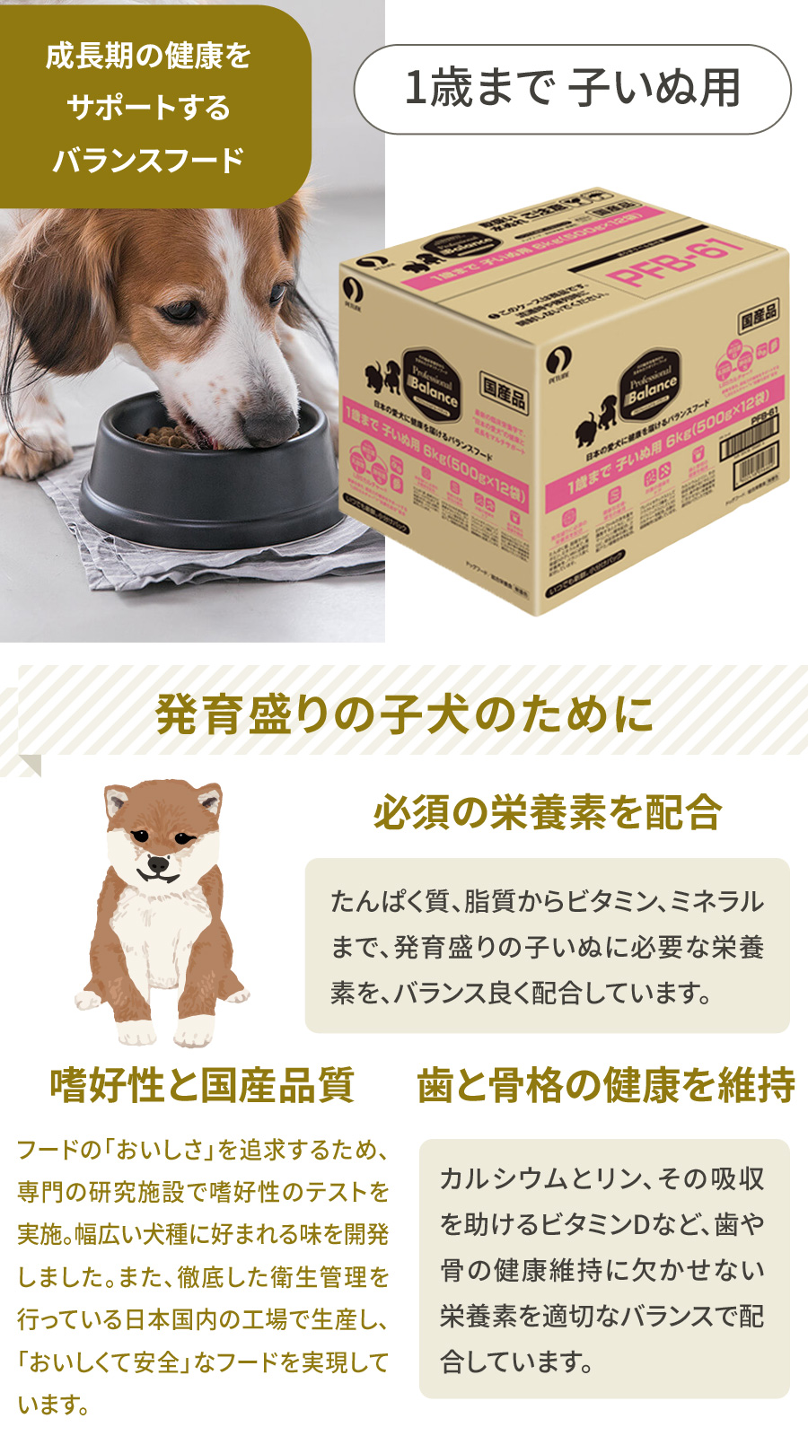 プロフェッショナル・バランス (選べるプレゼント付き