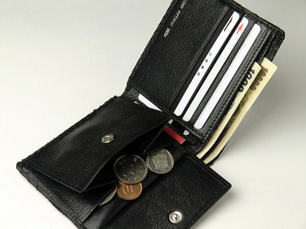 本革 パイソン 二つ折り財布 一枚革 ブラック 財布 ヘビ革 黒 : ダブル