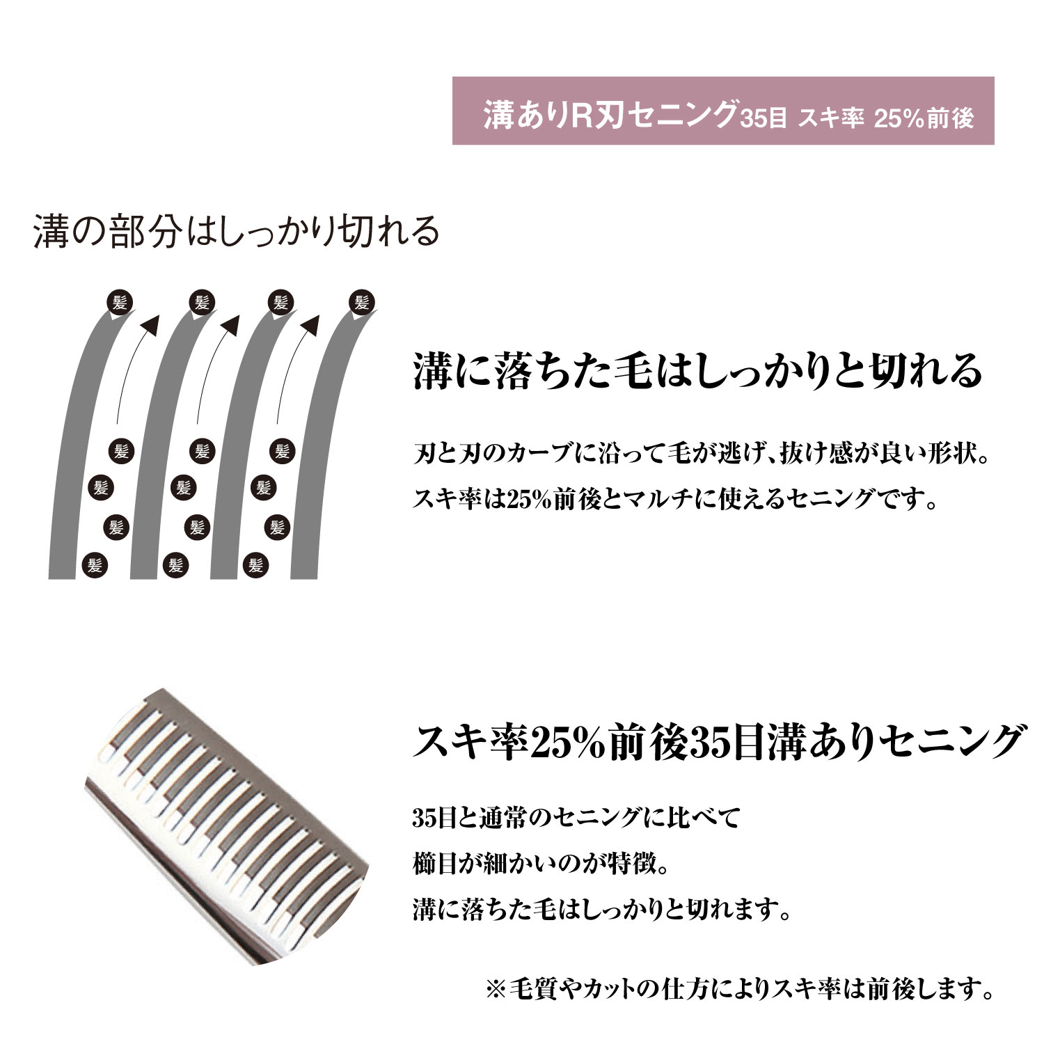 DEEDS プロ用 美容師 XXA シザー セニング セット スキ率25%前後 (5.5