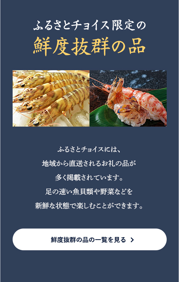 ふるさと納税 伝統技術 千葉県 君津市 千葉県指定伝統的 工芸品「雨城
