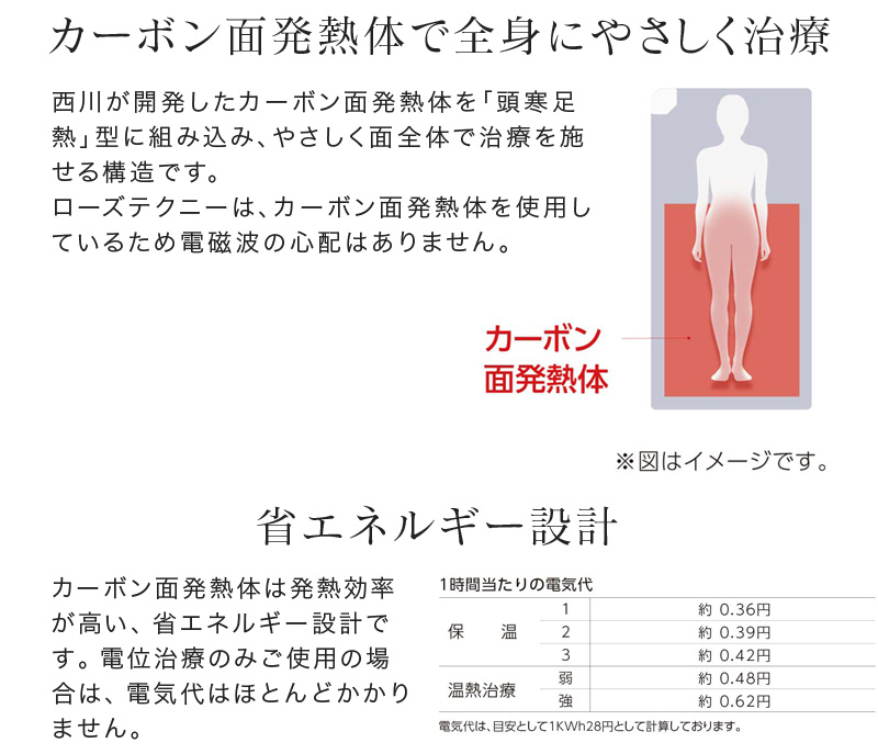 電気毛布 シングルサイズ 京都西川 介護老人腰痛電気 電位 治療 電気