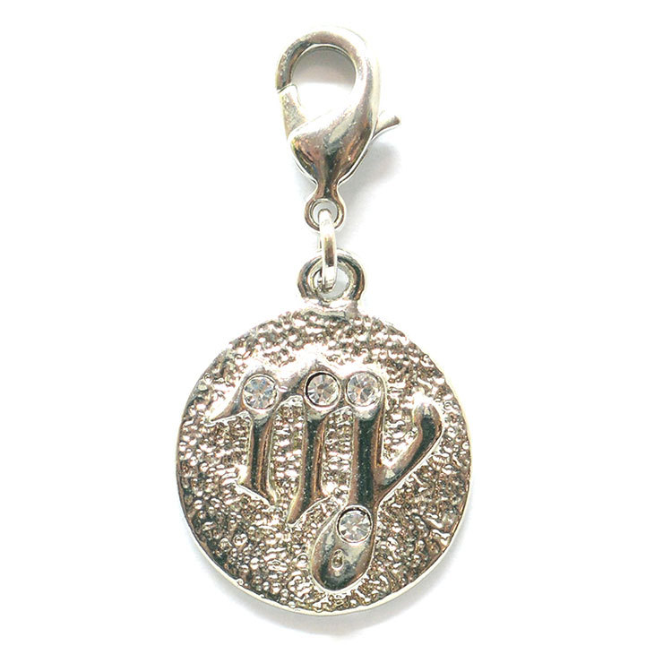 星座チャーム シルバー 12星座 チャーム モチーフ チェーン ストラップ