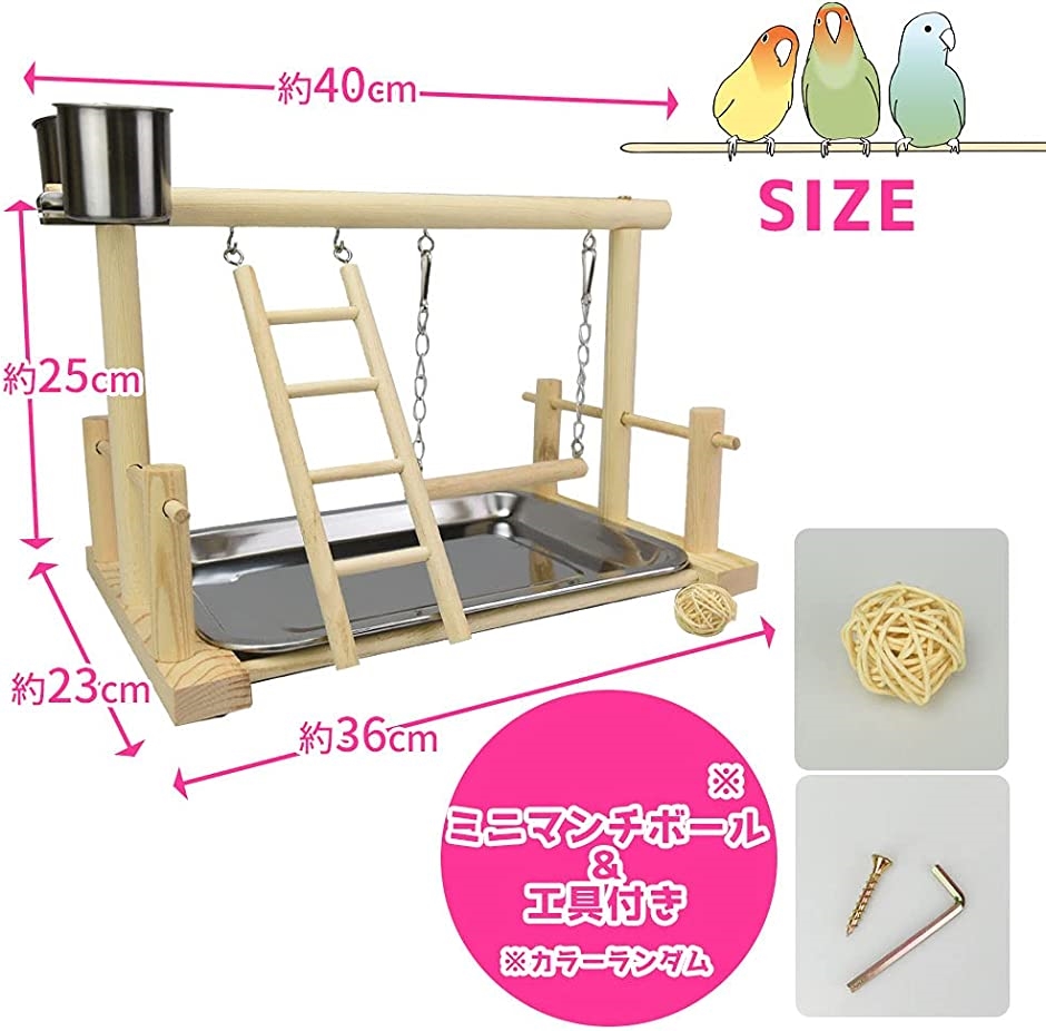 ジャワツリー バードジム 卓上 バードスタンド 鳥 インコ 【公式通販】