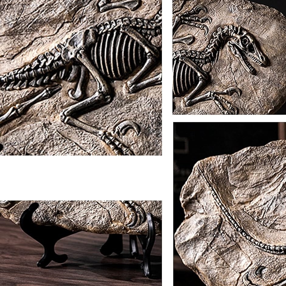 恐竜 化石 骨 インテリア アクアリウム オブジェ 化石標本 置物