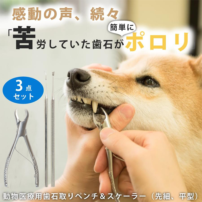帝塚山ハウンドカム 愛犬・愛猫用歯石取りペンチとスケーラーセット