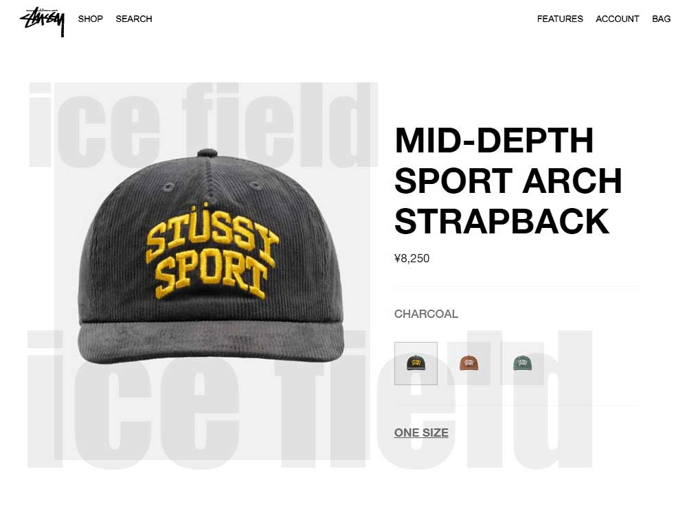 STUSSY（ステューシー） キャップ 帽子 STUSSY Sport Arch Cord