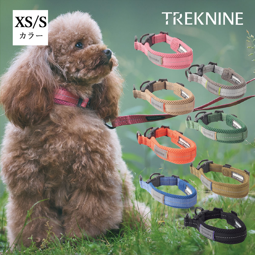iDog 犬 首輪 TREKNINE|カラー|ダブルリングメッシュパッド XS/Sサイズ