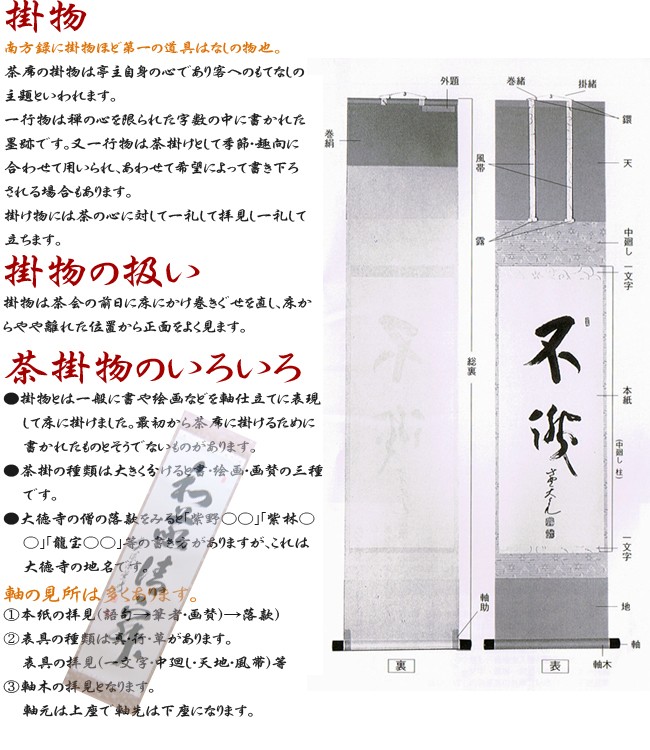 茶道具 掛軸 掛け軸 一行 白鳥入蘆花 橘宗義筆 茶道 : 茶道具いまや