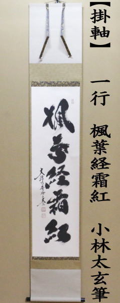 茶道具 掛軸 掛け軸 一行 楓葉経霜紅 小林太玄筆 茶道 : 茶道具いまや