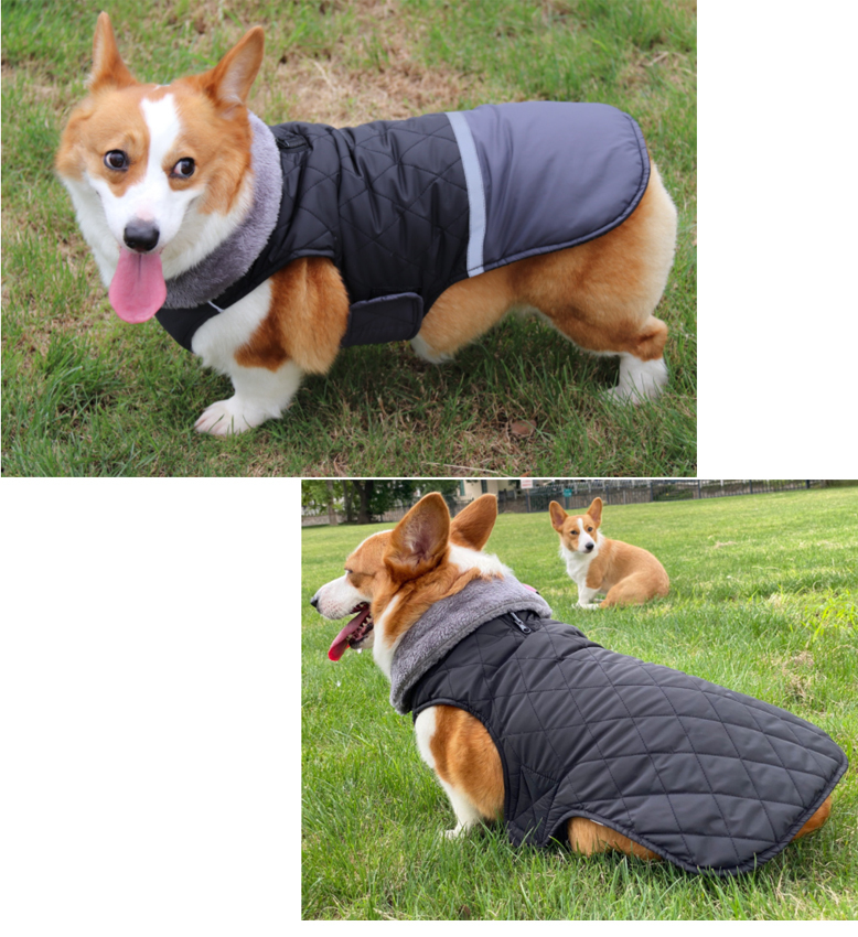 名入れ 犬 犬服 冬服 （ 襟 グレーボア付き リバーシブル ベスト