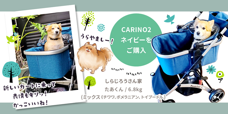 CARINO2 カリーノ2 ピッコロカーネ ファスナータイプ 対面式ペット