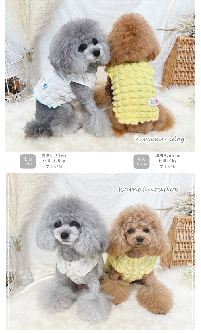 犬服 3S わんこの普段着 ポップコーン 犬服 3S わんこの普段着