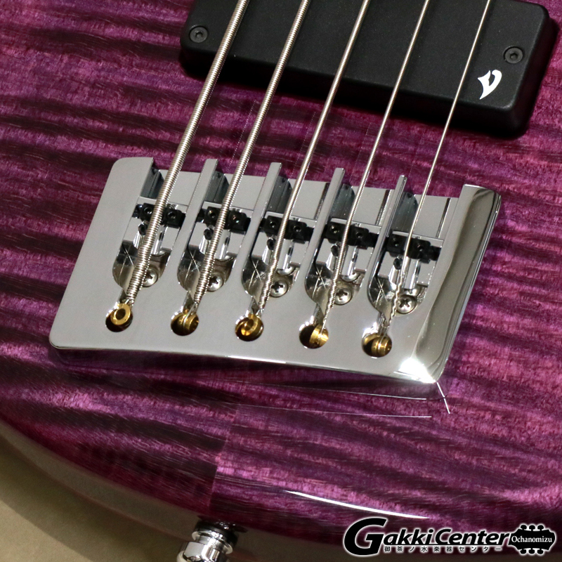 Vigier ( ヴィジェ ) Arpege 5 strings, V5ECC, Amethyst Purple [S/N