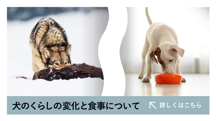 2月中旬〜下旬入荷予定・入荷次第発送】Vプラネット 小型犬用 小粒