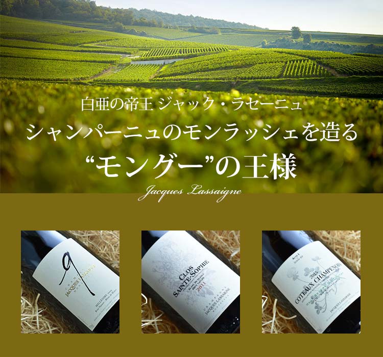 ジャック ラセーニュ クロ サン ソフィー ブラン ド ブラン 2013