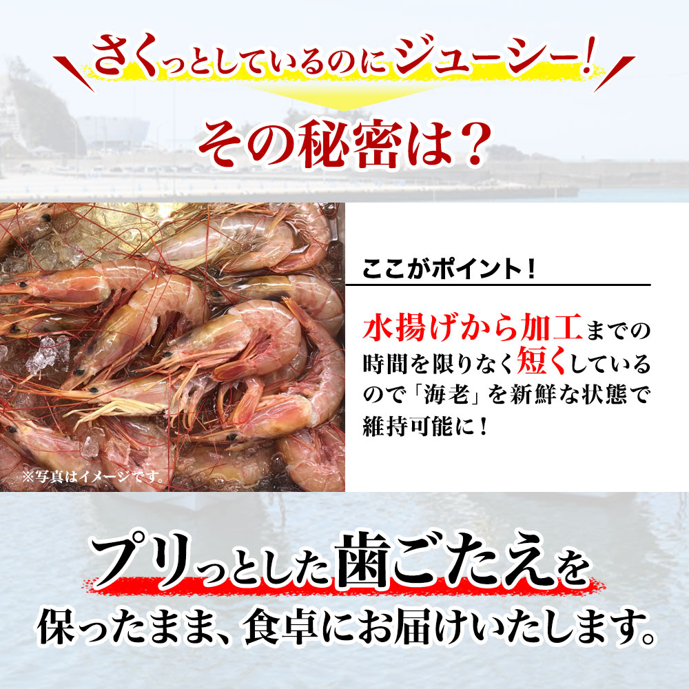 無頭エビフライ 200本 Lサイズ 業務用 送料無料 : カズサヤYahoo!店