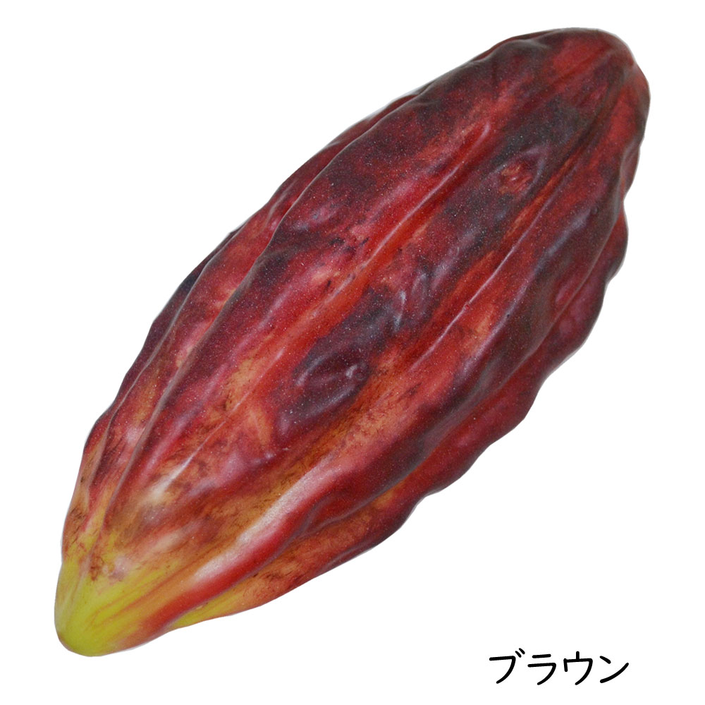 食品サンプル カカオ豆 カカオの樹 ココアの樹 チョコレート カカオ