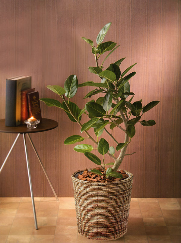 鉢カバー 大型 バスケット おしゃれ 人気 かご プランター インテリア