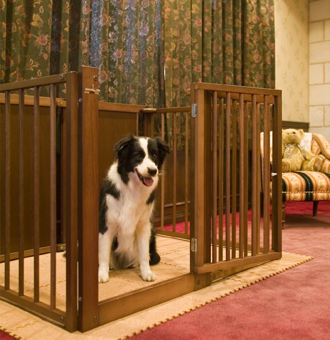 Kiinus（キーヌス） [ ペットサークルF80L ] 犬用 サークル 多頭飼い