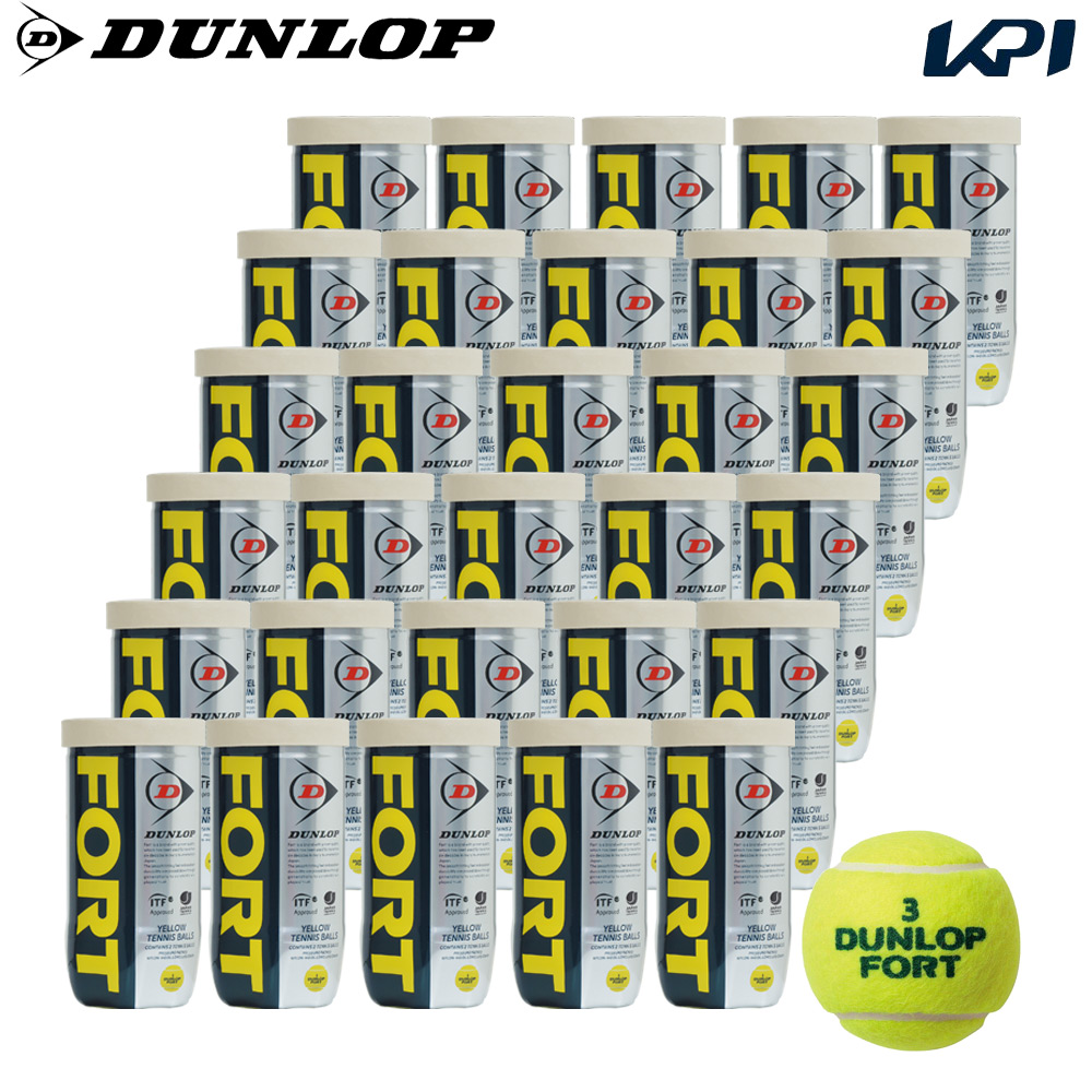 DUNLOP（ダンロップ） 『即日出荷』DUNLOP FORT フォート [2個入]1箱