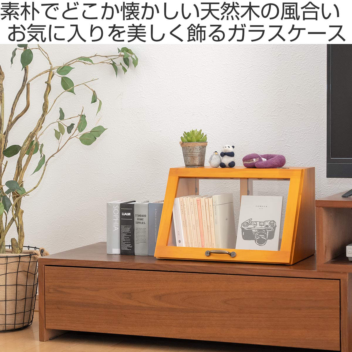 HAGiHARA（萩原） ガラスケース 幅40cm 1段 カウンター上収納 ラック