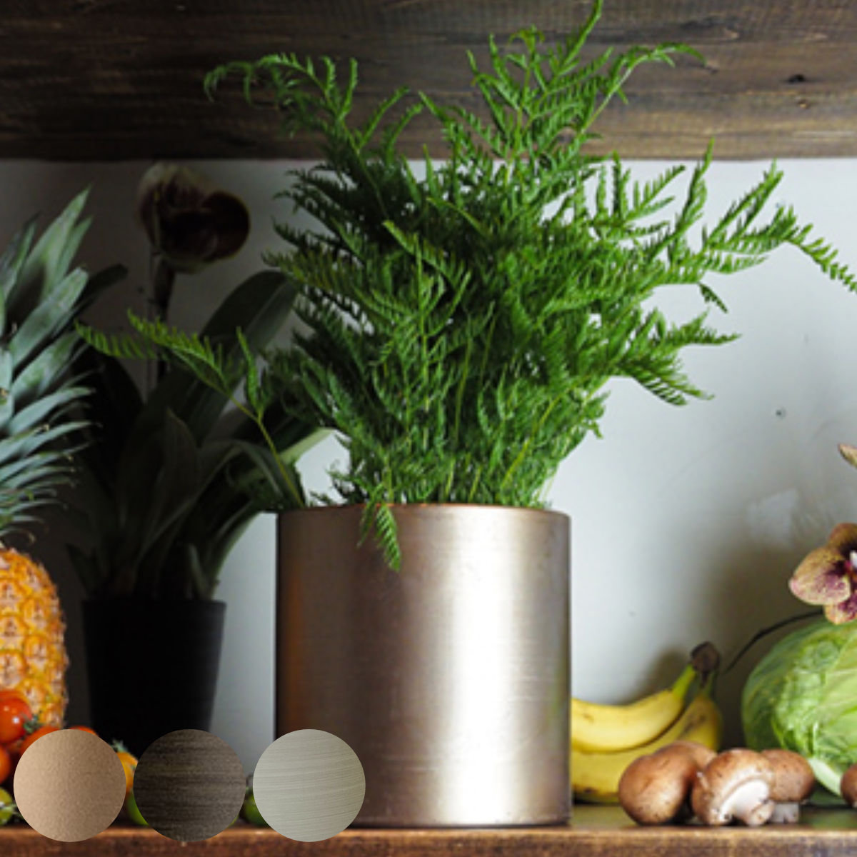 プランター MC円柱ベース 直径17×高さ17cm アイアン （ 植木鉢