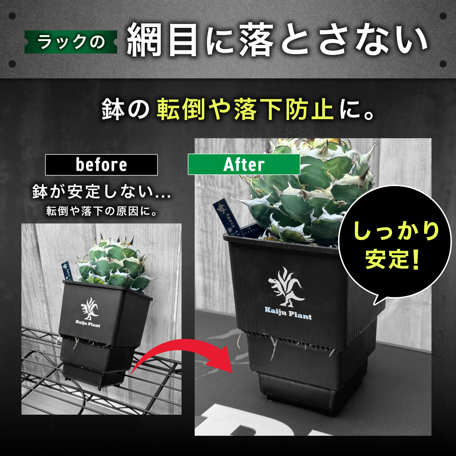 Kaiju Plant 怪獣ドライマット すぅっと吸水 珪藻土練り込みマット