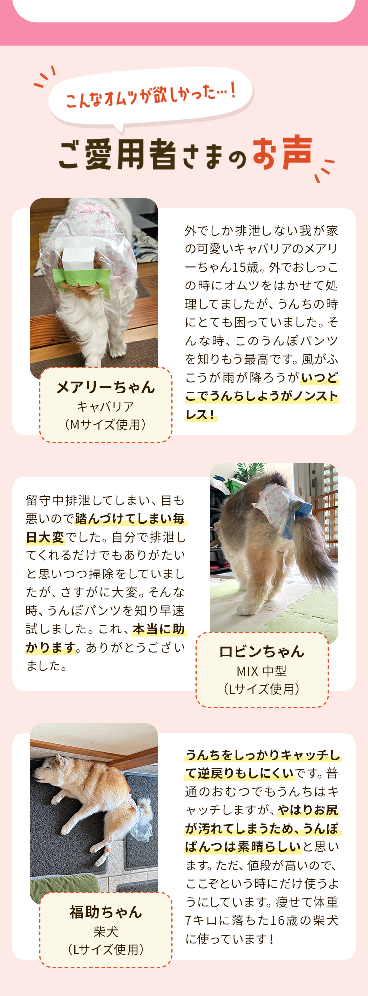 PEPPY（ペピイ） うんぽパンツ LL・28枚 犬 おむつ 介護 おもらし