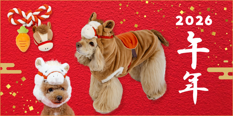 ペットパラダイス 福袋2026 DS 男の子 お洋服4点＆干支のおもちゃ1点