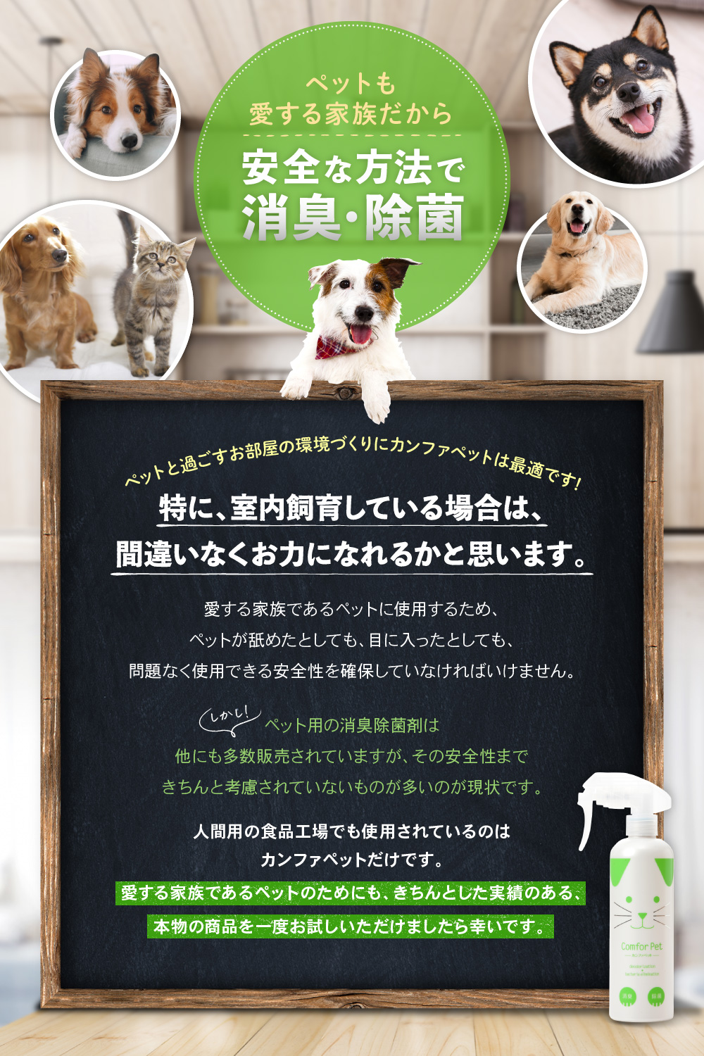 ペットが舐めても安心な消臭剤「カンファペット」 初回限定お試し