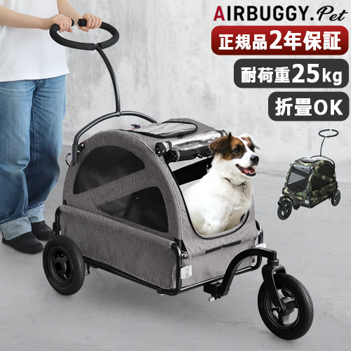 AIRBUGGY（エアバギー） 【特典付】正規品 キューブ トゥインクル