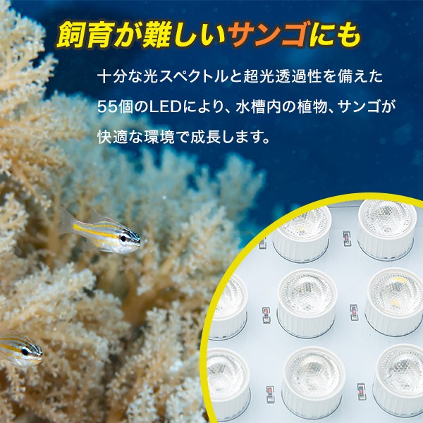 水槽 LED ライト 海水魚 サンゴ 水槽用 165w カスタム 本体 UV 6個